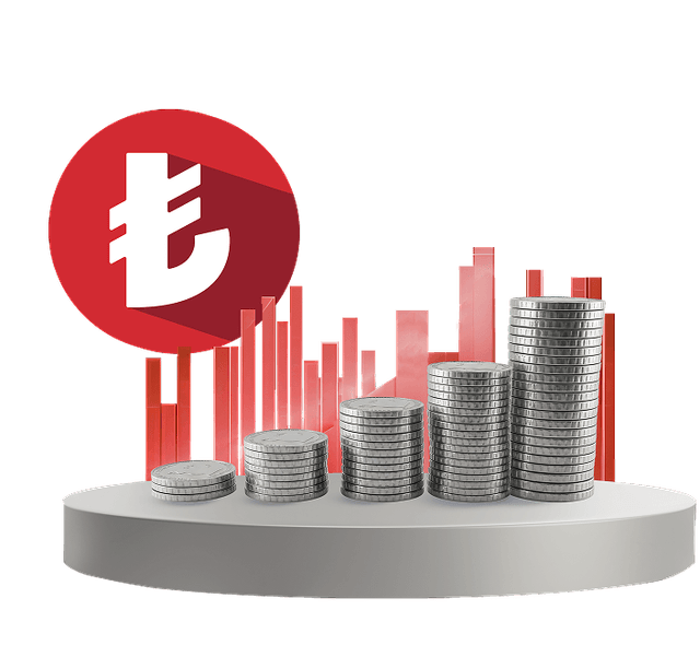 TL Serbest Yatırım Fonları